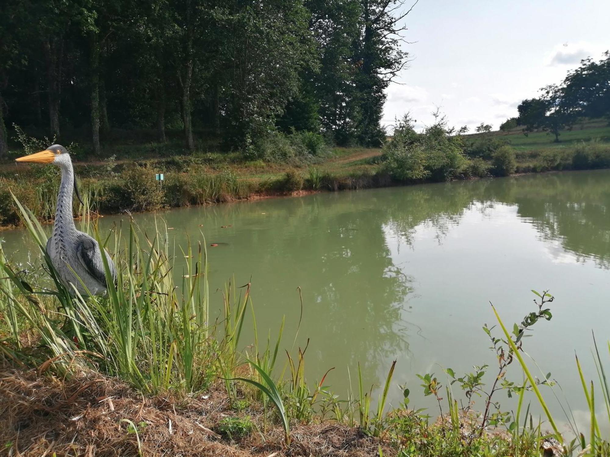 Gite Les Mareillauds - Piscine Salon Bagian luar foto